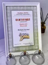 Certifikát: Bankovanie a moxovanie